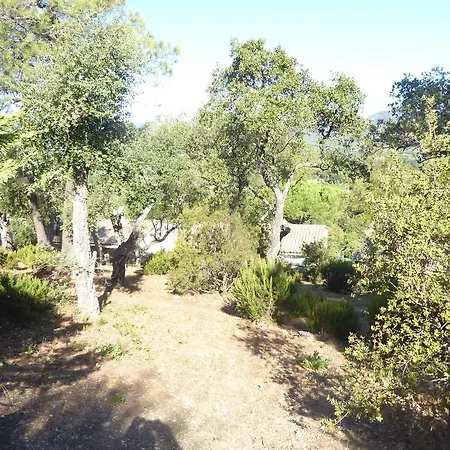 Zw. Cogolin Und St. Tropez Holiday home *